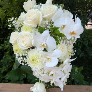 Sample wedding photo - 516764444 1315569267239336 4685689035590906941 n