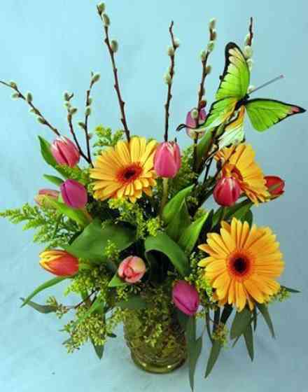 Spring arrangement with butterfly